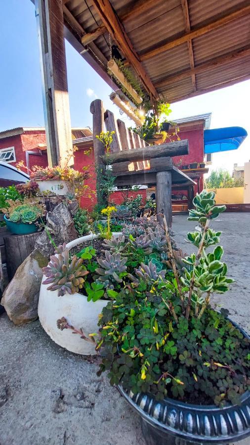 Hostel Cape Town - Камбара Экстерьер фото